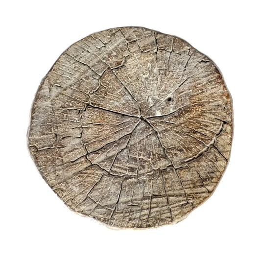 Cement Log 12" Slab