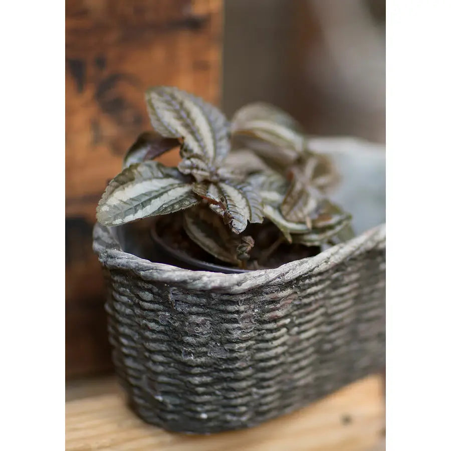 Large Concrete Oval Container with Basket Motif