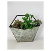Galvanized Zinc Desktop Planter