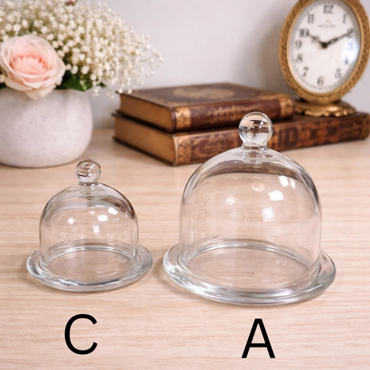 Glass Dome Display Cloche with Base