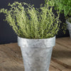 Zinc Flower Pot