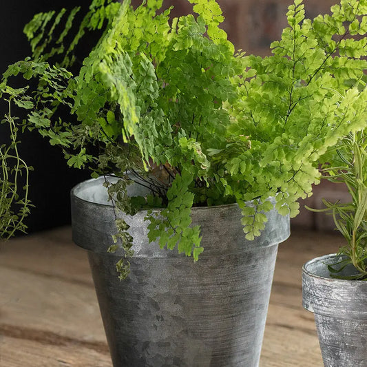 Zinc Flower Pot