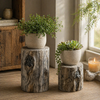 Distressed  Cement Log Display Riser