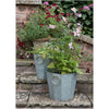 Beveled Zinc Planters With Handles