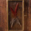 BRASS FRAME WITH HANGING LOOPS 2.5"X5"