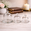 Glass Dome Display Cloche with Base