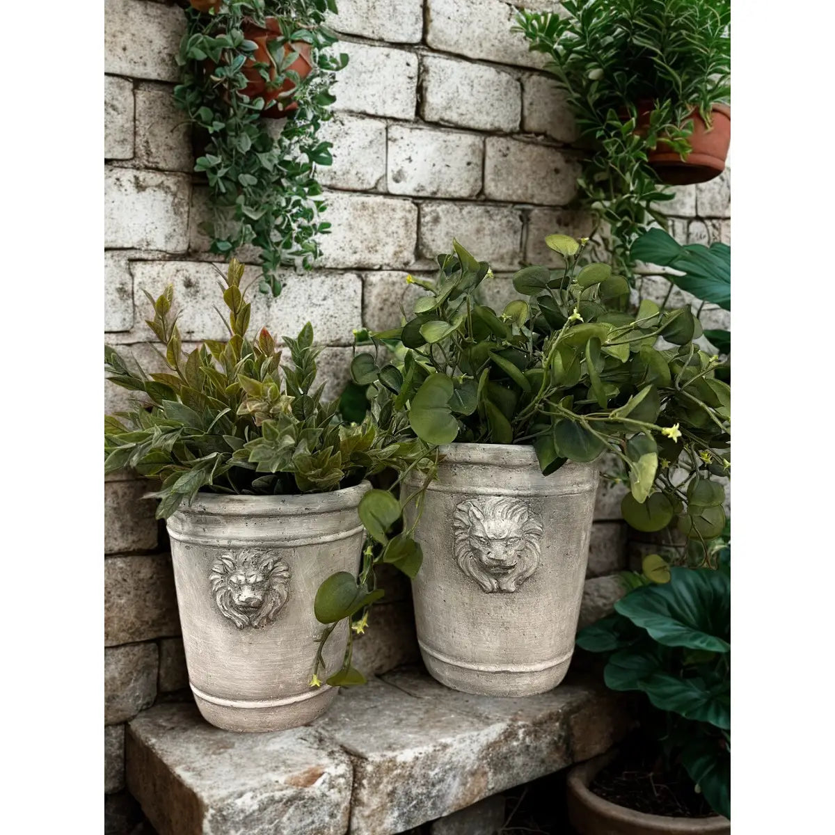 Cement Lion Planter
