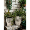 Cement Lion Planter