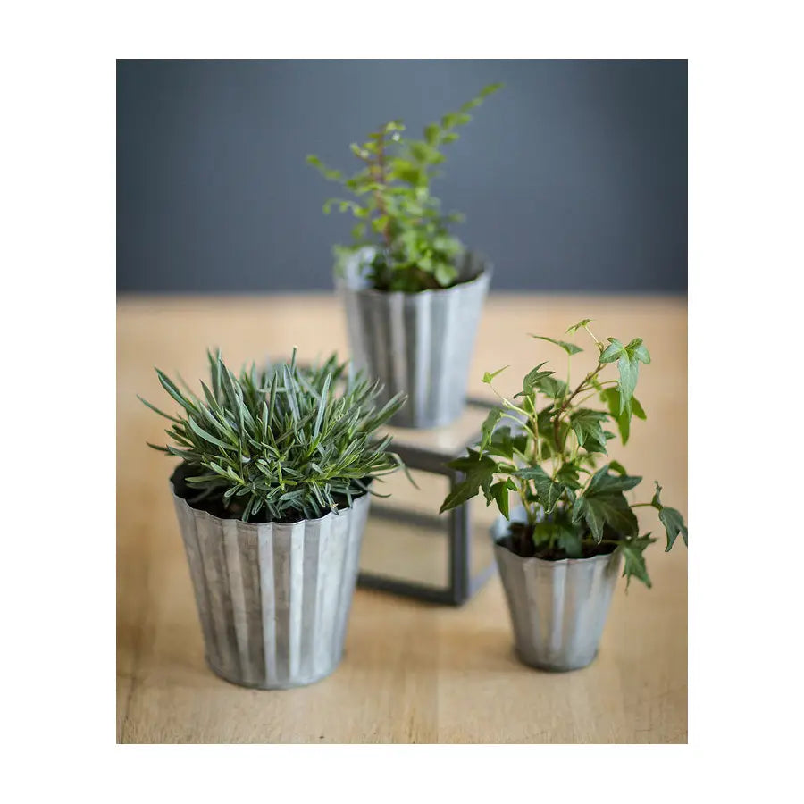 Tin Pot Set of Three Tin Pots – VagabondVintage