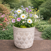 Geometric Cement Planter