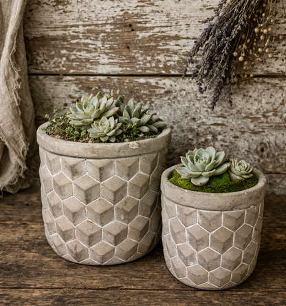 Geometric Cement Planter