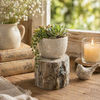 Distressed  Cement Log Display Riser