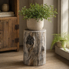 Distressed  Cement Log Display Riser