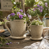 Cement Tea Mug Planter