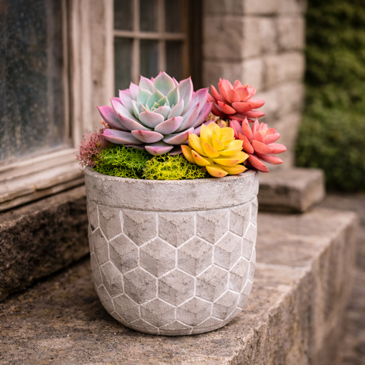 Geometric Cement Planter