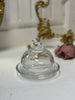 Glass Bird Cloche
