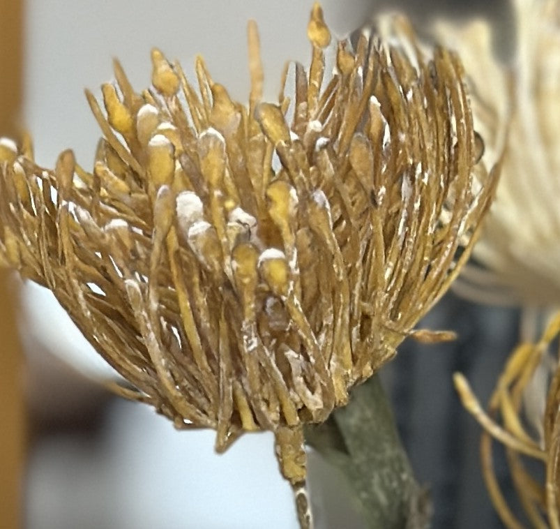 Artificial Pincushion Protea Arrangement