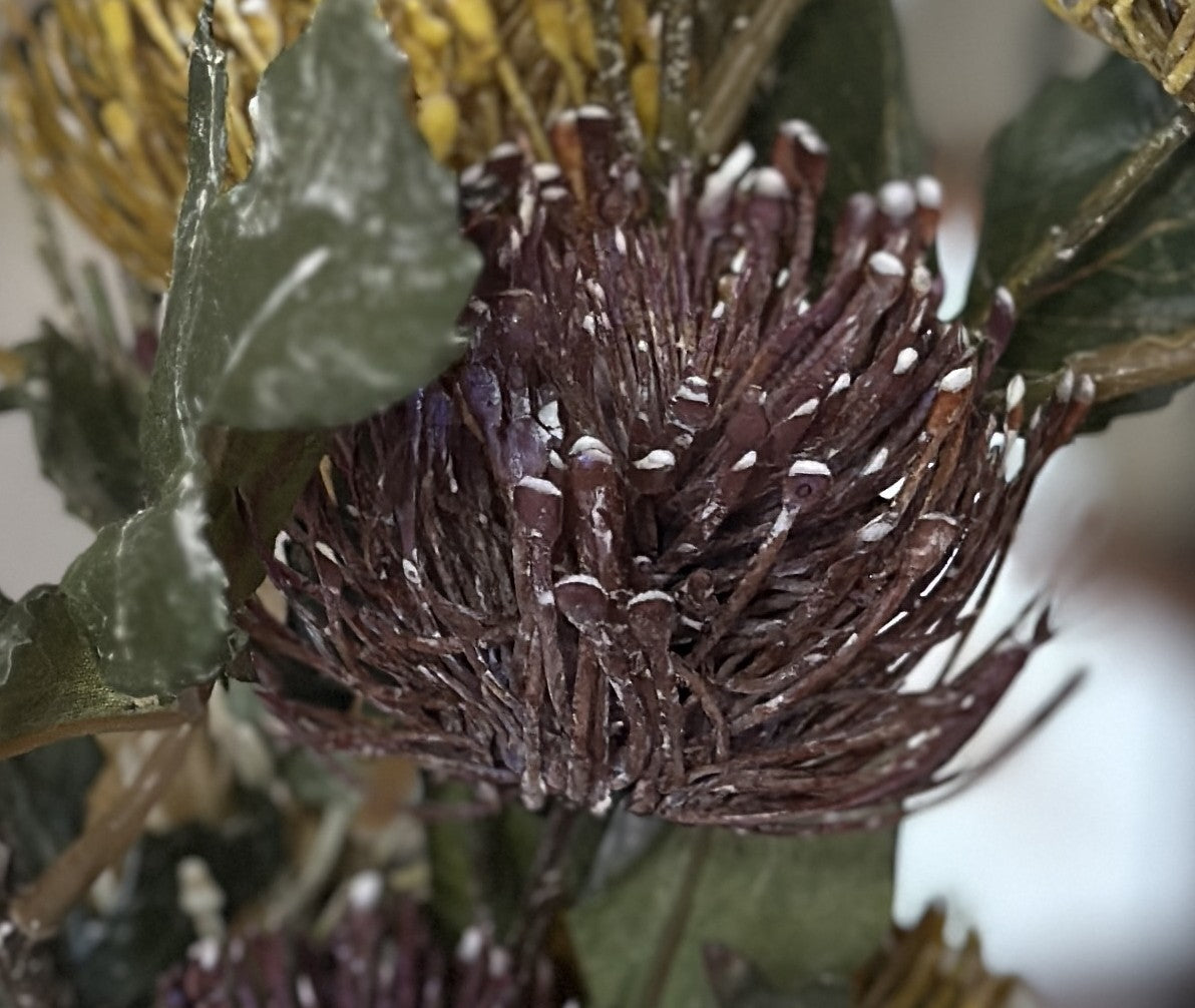 Artificial Pincushion Protea Arrangement