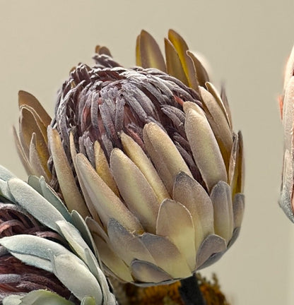 Artifical King Protea Bouquet