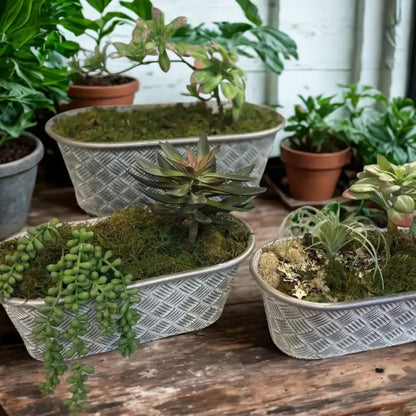 Oval Basketweave Planters Set of 3