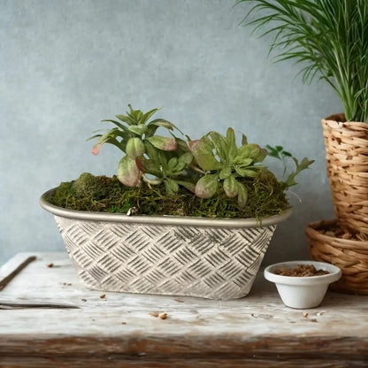 Oval Basketweave Planters Set of 3