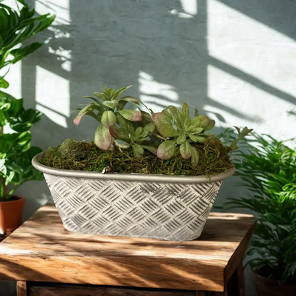 Oval Basketweave Planters Set of 3