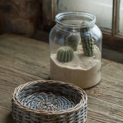 Glass and Wicker Terrarium - Cylinder