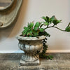 Cement Planter Urn