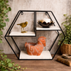 Iron and Wood Wall Shelf