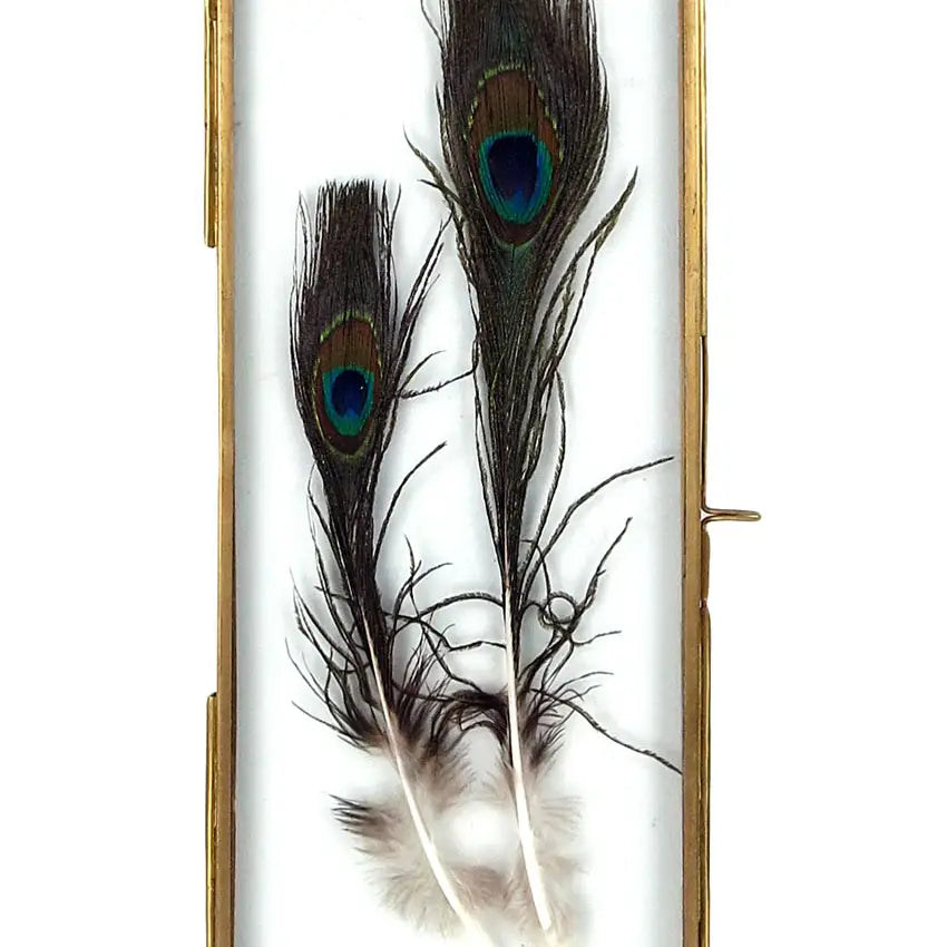 BRASS FRAME WITH HANGING LOOPS 4" X 10"