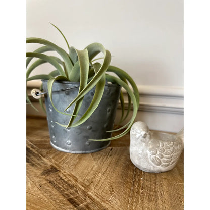 IRON POT DOT FINISH WITH WOOD HANDLE SET OF THREE