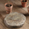 Cement Log 12" Slab