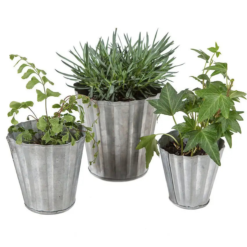 Tin Pot Set of Three Tin Pots – VagabondVintage
