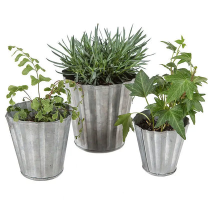 Set of Three Tin Pots