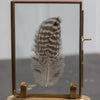 Solid Brass Frame with Stand