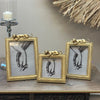Luxurious Gold Leopard Photo Frame