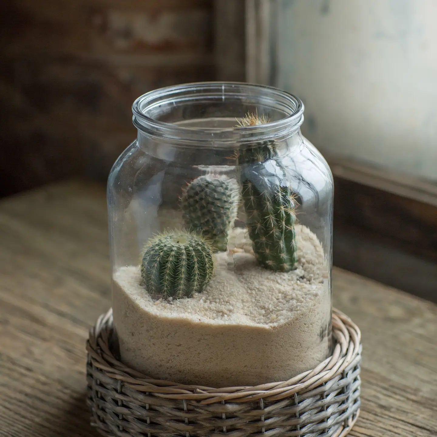 Glass and Wicker Terrarium - Cylinder