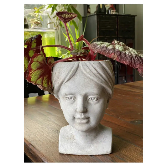 Female Peasant Planter